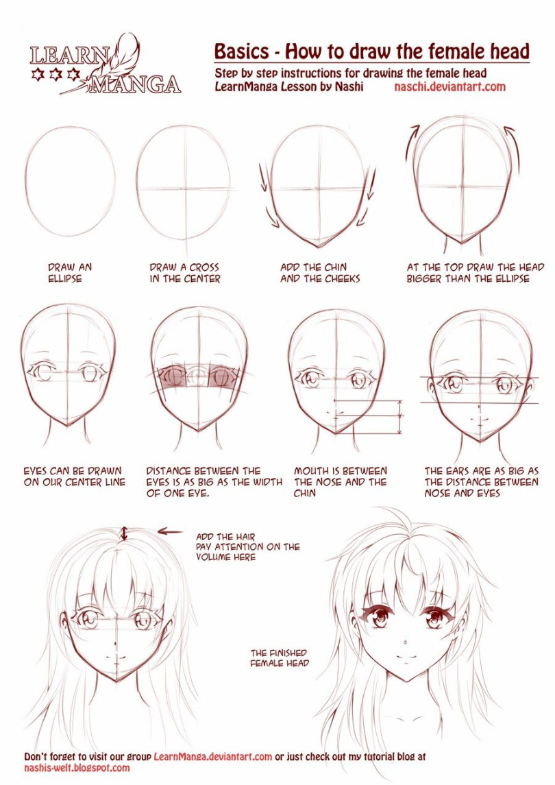 Anime anatomy basic drawing tutorial